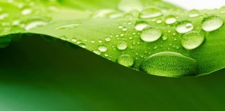 Environmentálne výzvy mesta sú definované