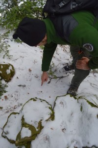 Roman ukazujúci na stopy v snehu.