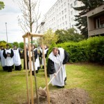 instalacia_fararka_Risianova_13