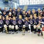 Hokej_postup-extraliga_web