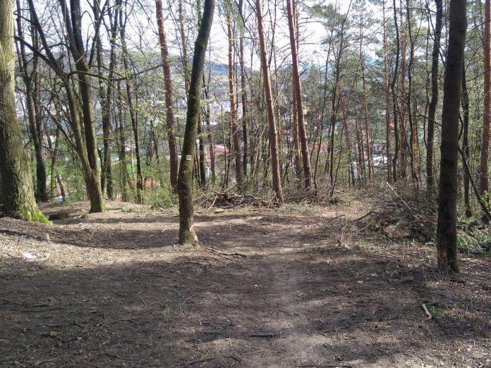 Lachovec_141453