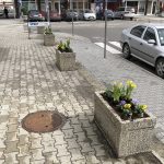 17IMG_7314 (2)