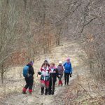 IMG_1803