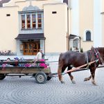 IMG_4326