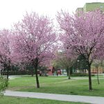 0 IMG_5909