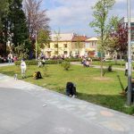 1IMG_6291