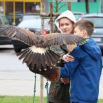 IMG_5235