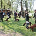 15IMG_7425