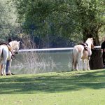 6IMG_7389