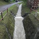 8IMG_8156