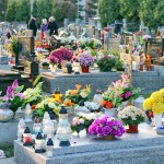 11-IMG_2938