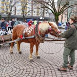 IMG_9201