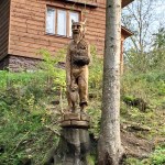 0 IMG_4500