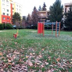 IMG_4727