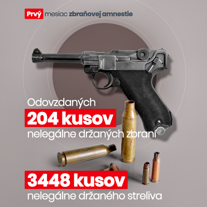 PN45 Zbranova amnestia