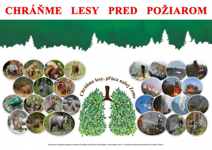 Plagát A3 - Lesy 2021