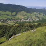 Foto-3