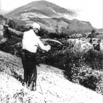 Foto-4