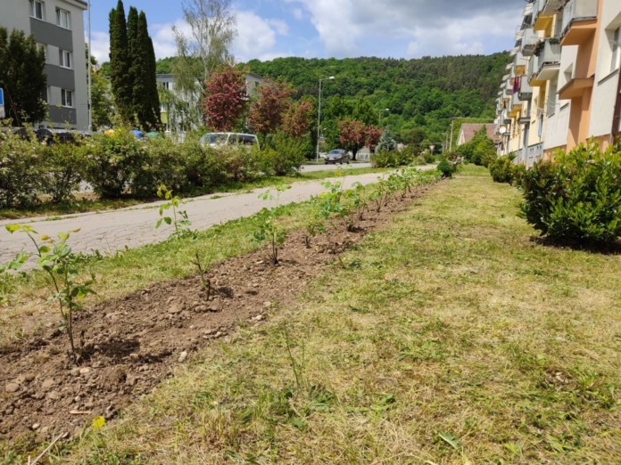 PN21 Kubičar