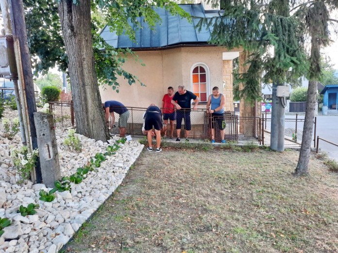 PN31 Beluša