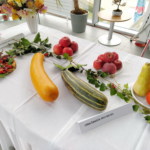 IMG_20221108_090520