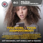 PN-03-Policia-internet