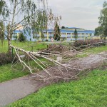PN16 Odstránenie spadnutého stromu