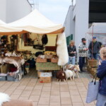 IMG_0128
