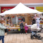 IMG_0137