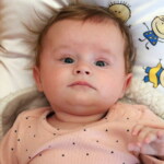 1-Dominika-G